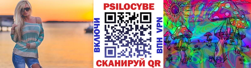 Купить  Гагарин  Галлюциногенные грибы Psilocybe 